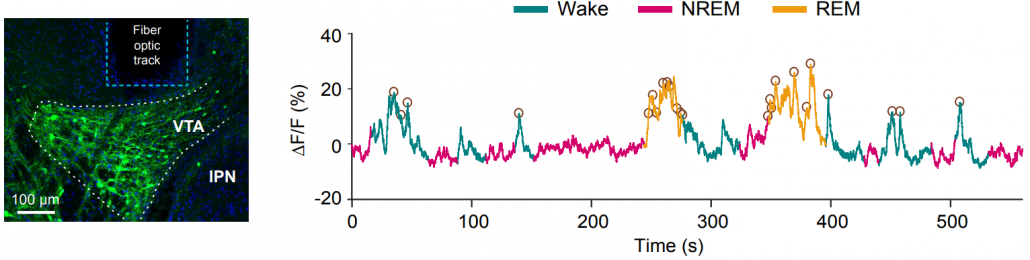 vta photometry